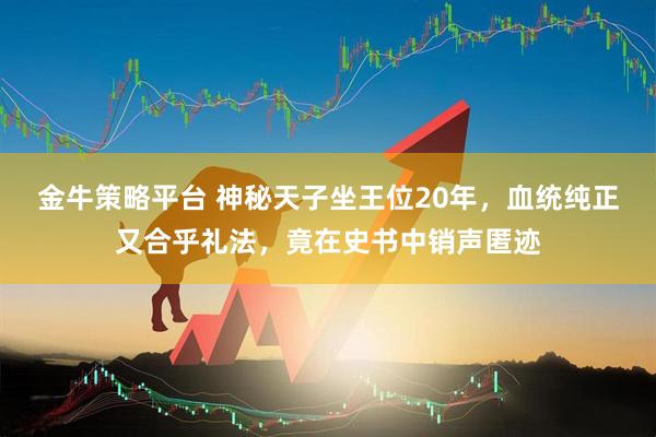 金牛策略平台 神秘天子坐王位20年，血统纯正又合乎礼法，竟在史书中销声匿迹