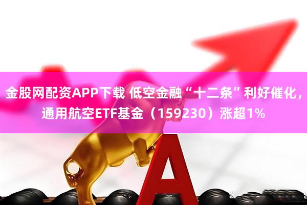 金股网配资APP下载 低空金融“十二条”利好催化，通用航空ETF基金（159230）涨超1%